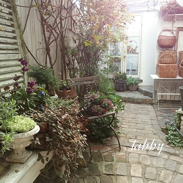 olivierさんの実例写真