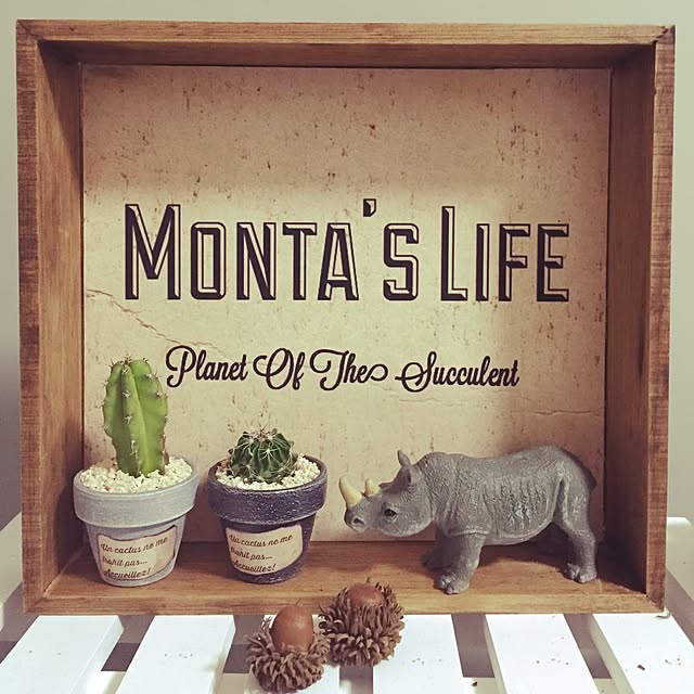 montaさんの実例写真