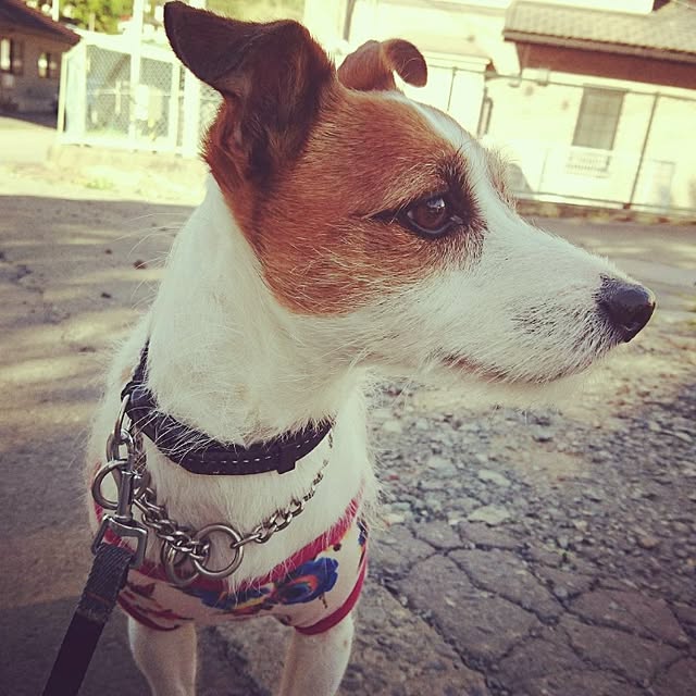 ToMoさんの実例写真