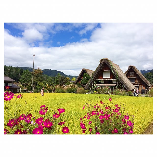 実例写真