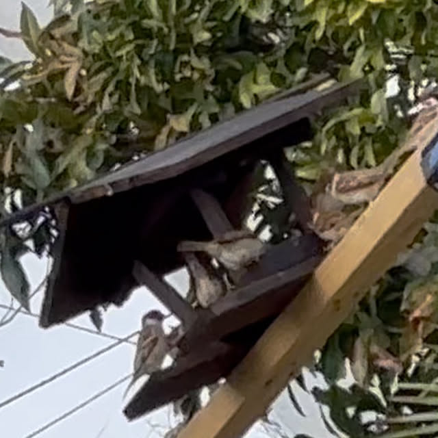 bonber0212さんの実例写真