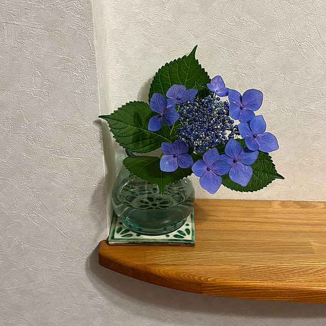 teraさんの部屋