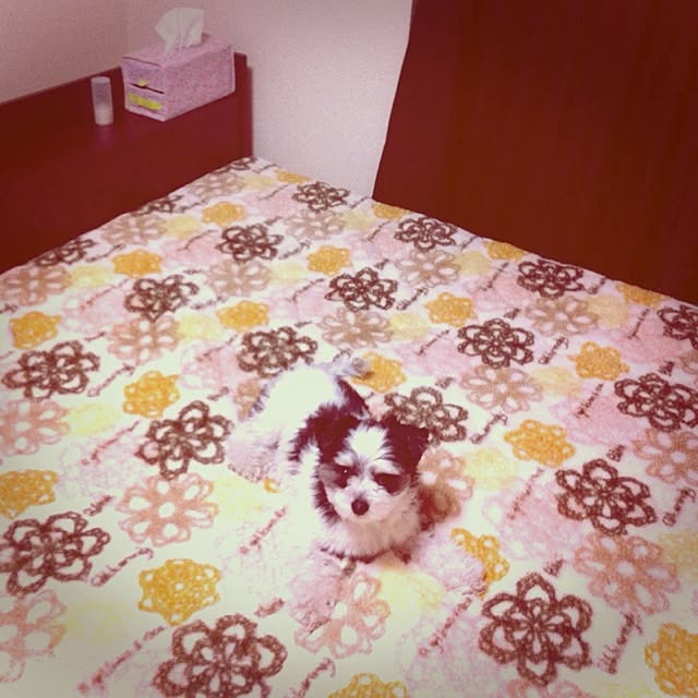 Norikoさんの実例写真