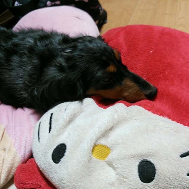 minibossさんの実例写真
