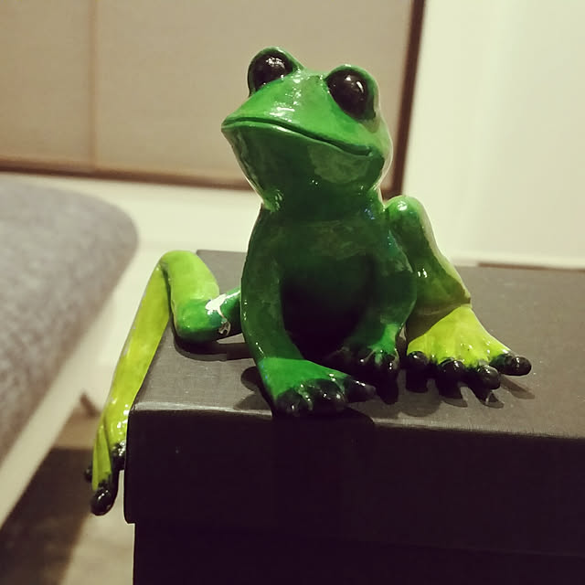 pirococcoさんの実例写真
