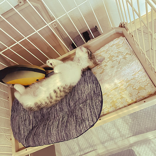 naminamiさんの実例写真