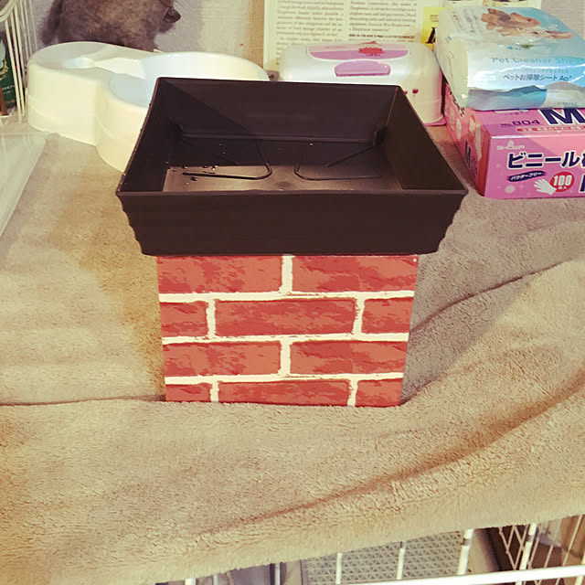 Mikaさんの実例写真