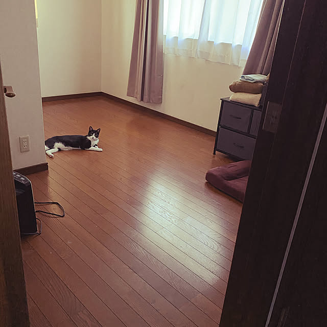 mirisukeさんの実例写真