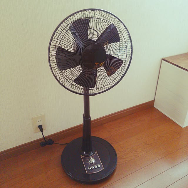 nochさんの実例写真