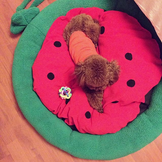maylieさんの実例写真