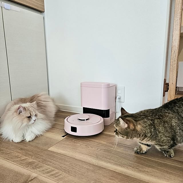 annyaさんの部屋