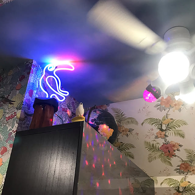 cyborg69さんの実例写真
