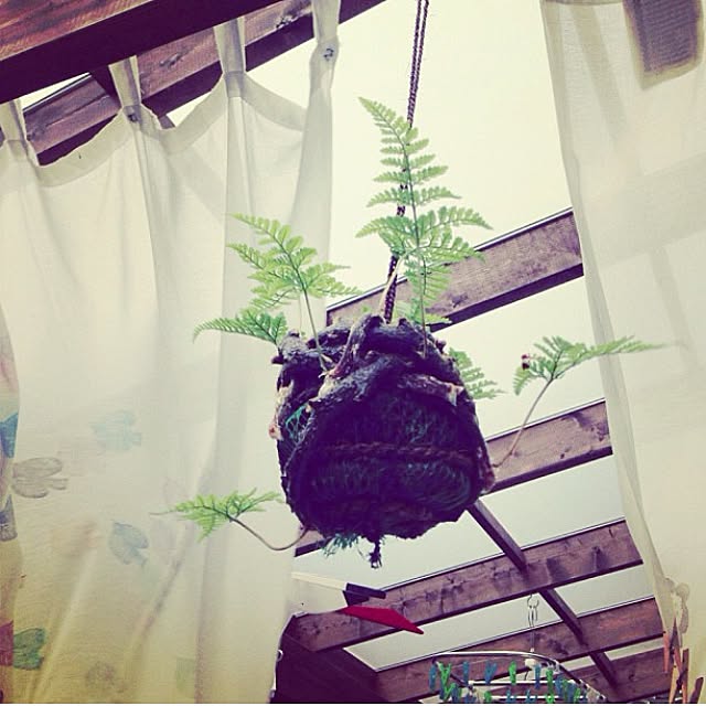 minomonさんの実例写真