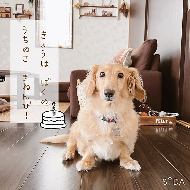 -Riley-mama.-さんの部屋