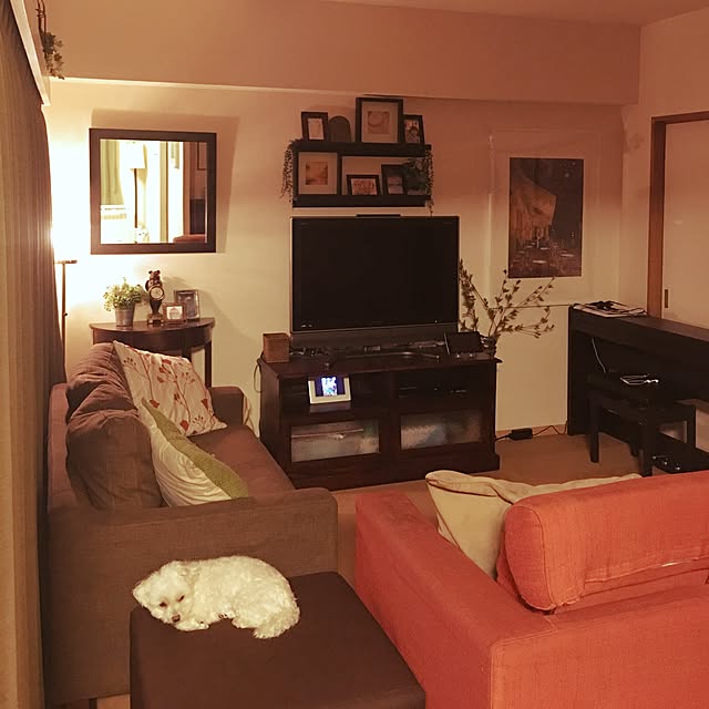 実例写真