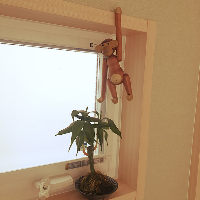 ninさんの実例写真