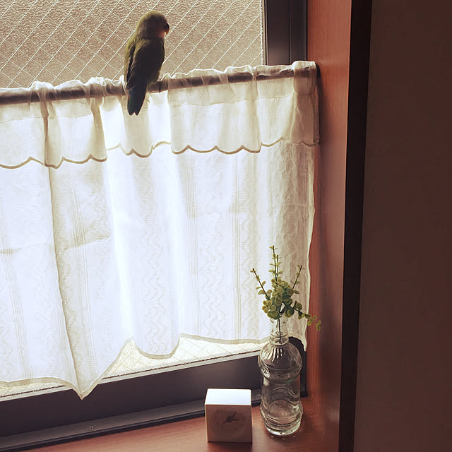 sariさんの実例写真