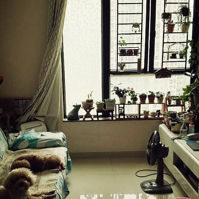 Karkeeさんの実例写真