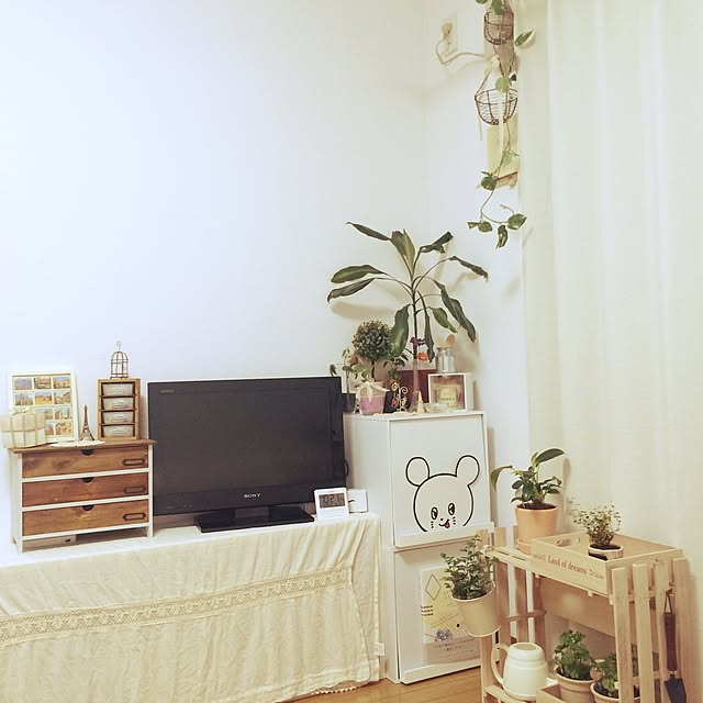 ecaさんの実例写真
