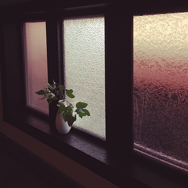 PINOさんの実例写真