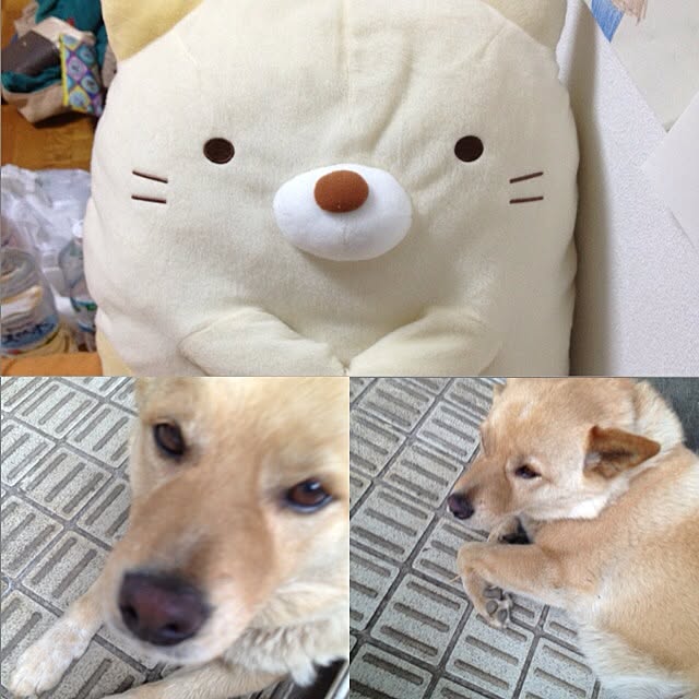 yukosさんの実例写真