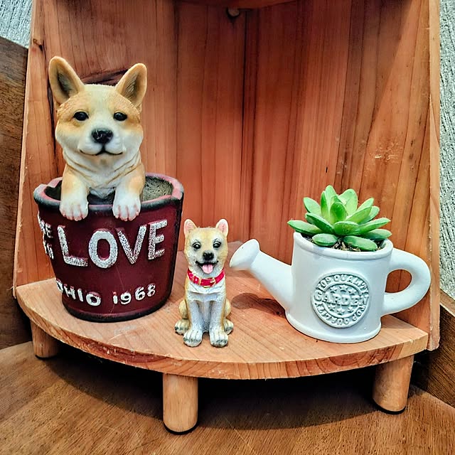 nanaさんの実例写真