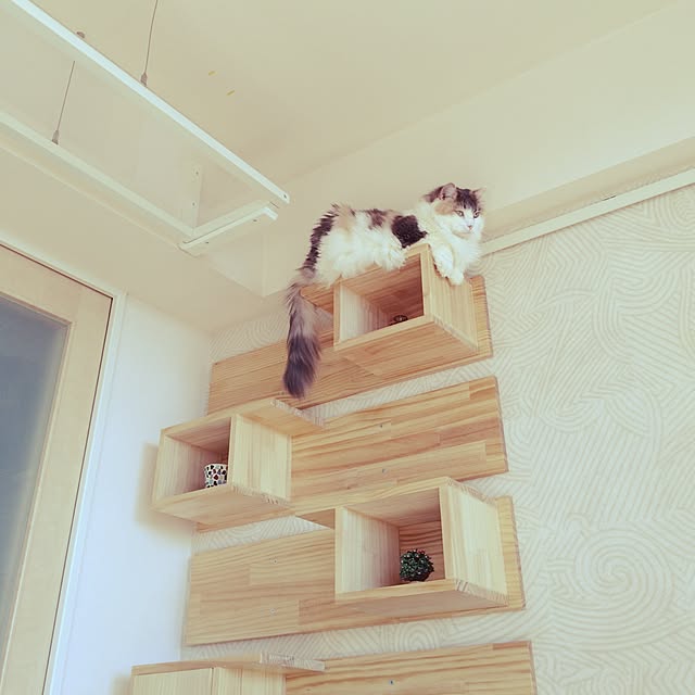 6さんの実例写真