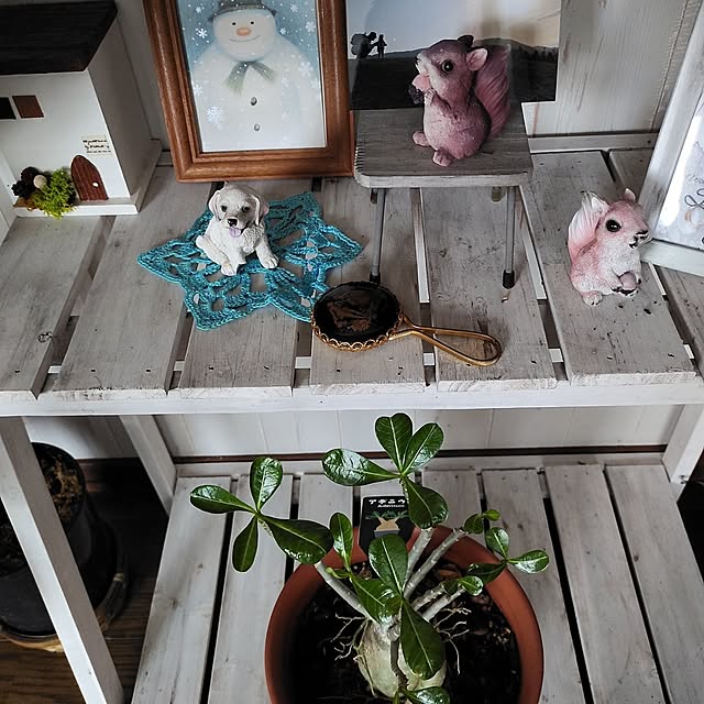 kiraさんの部屋