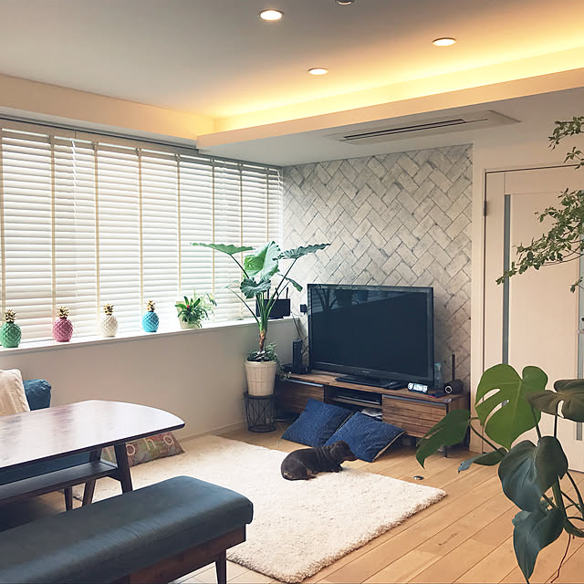 壁/天井のインテリア実例 - 2020-05-18 10:22:14