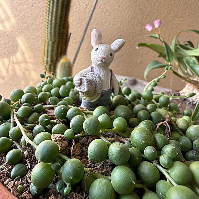 Aqettyさんの実例写真