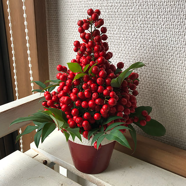 pirokoさんの実例写真