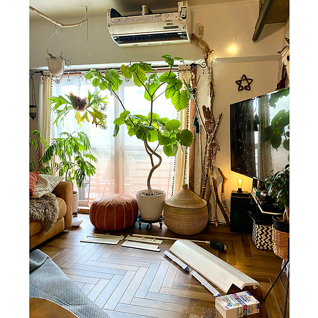 tarezo33さんの実例写真