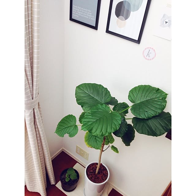 Megu5319さんの実例写真