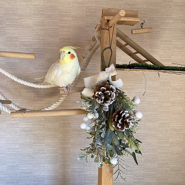 toratanさんの実例写真