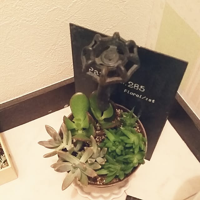 emiiii5さんの実例写真