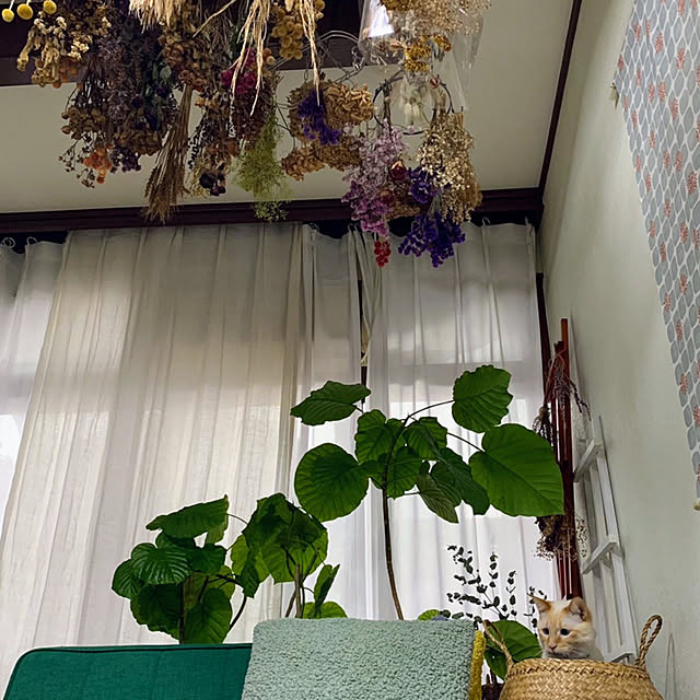 mohhaさんの実例写真