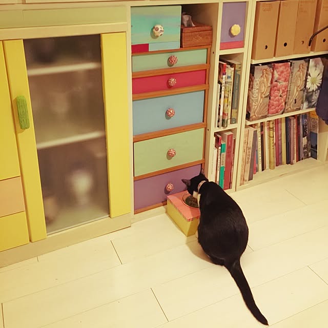 kimishigureさんの実例写真