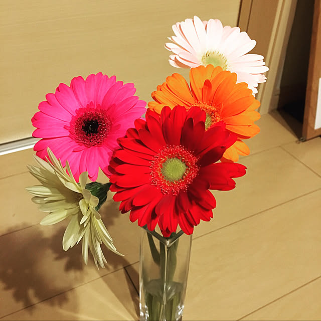 serenaさんの実例写真