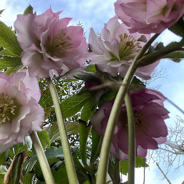 natsumiさんの実例写真