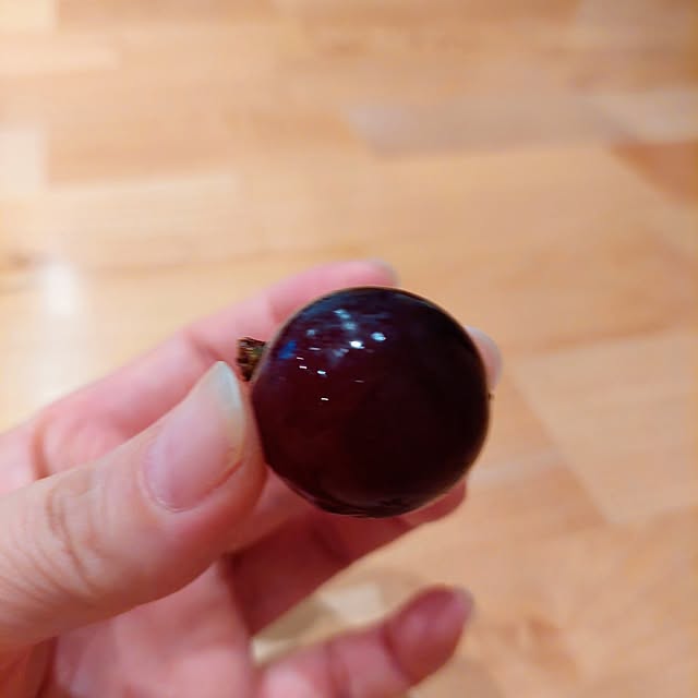 shiori.3173さんの部屋