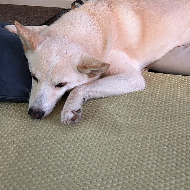 tanboさんの部屋
