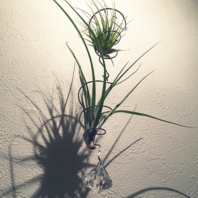 Yoshikoppiさんの実例写真