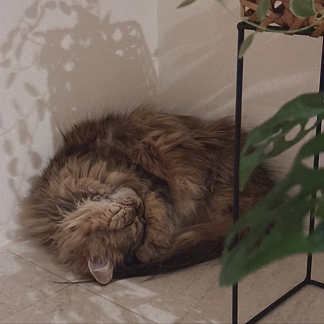 miyu39さんの部屋