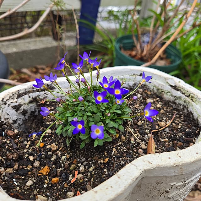 min_nimさんの部屋