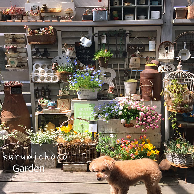kurumichocoさんの実例写真