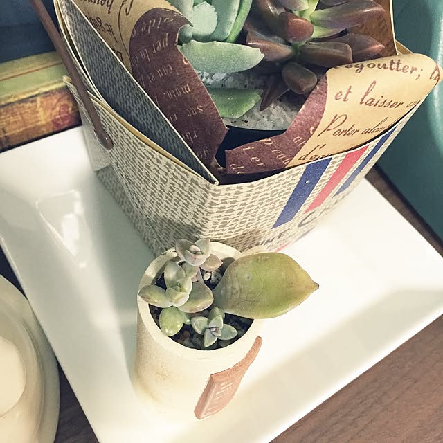 実例写真