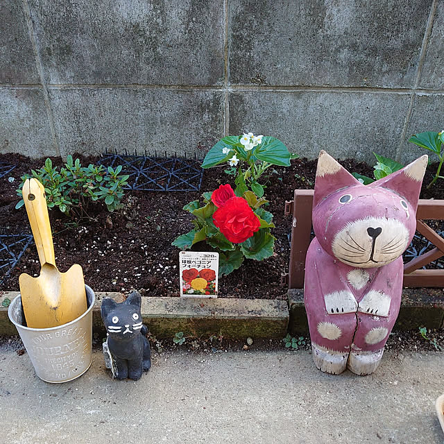 fukuさんの実例写真