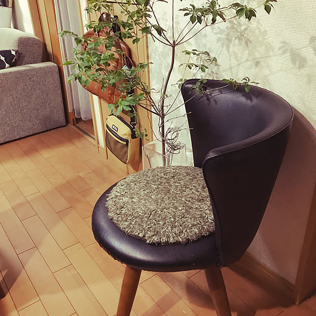 cagosukiさんの実例写真