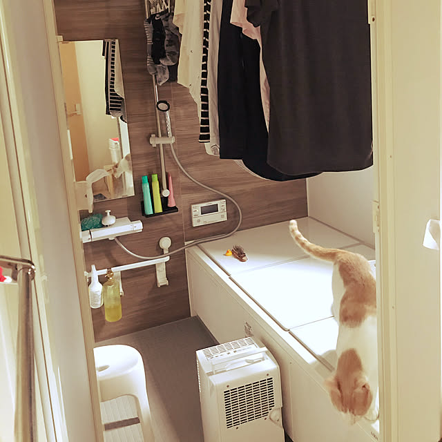 Y.Y.Mさんの実例写真