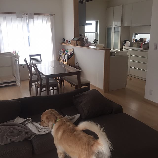 Kazueさんの実例写真